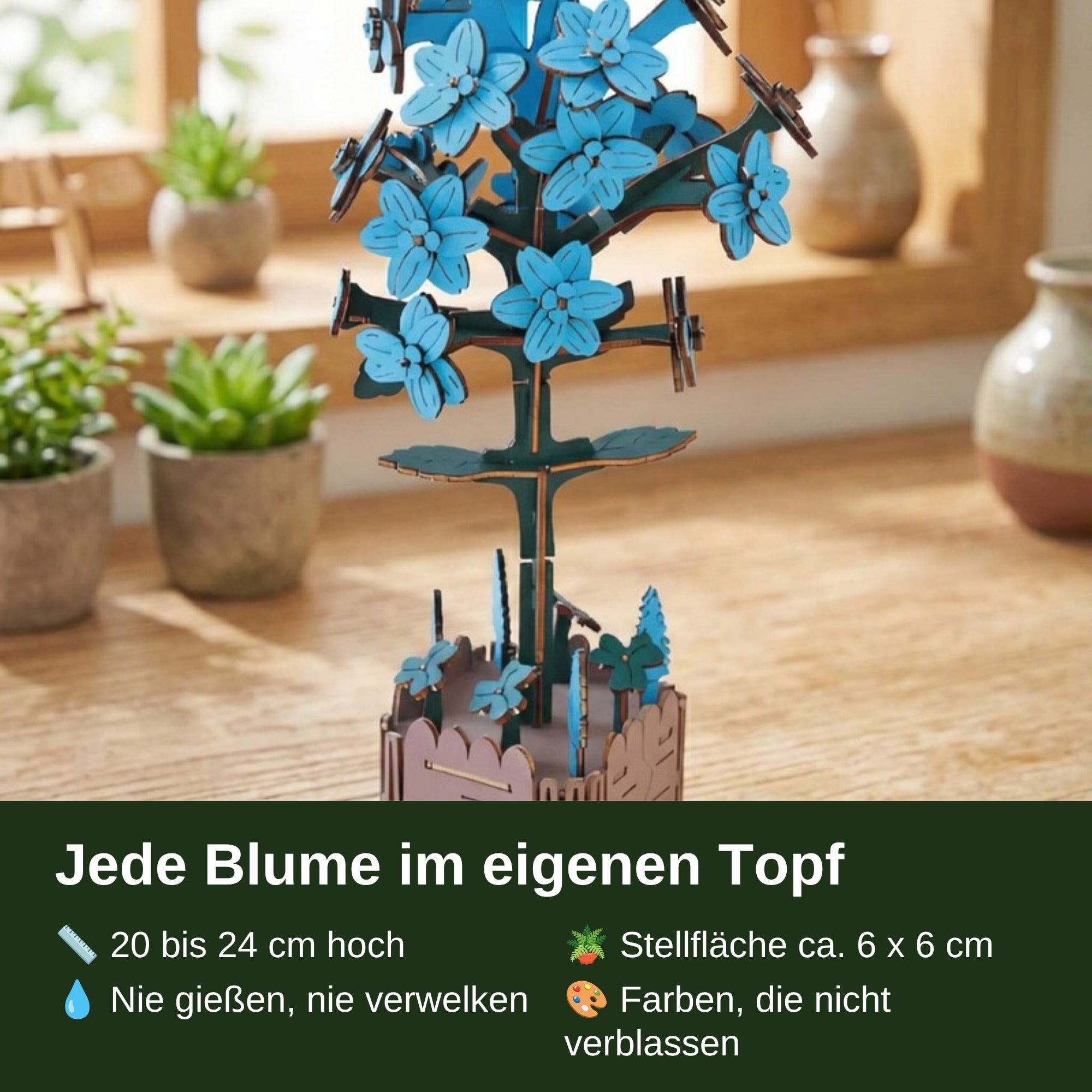 Jede Blume im eigenen Topf: 20 bis 24 cm hoch, Stellfläche ca. 6 x 6 cm, nie gießen
