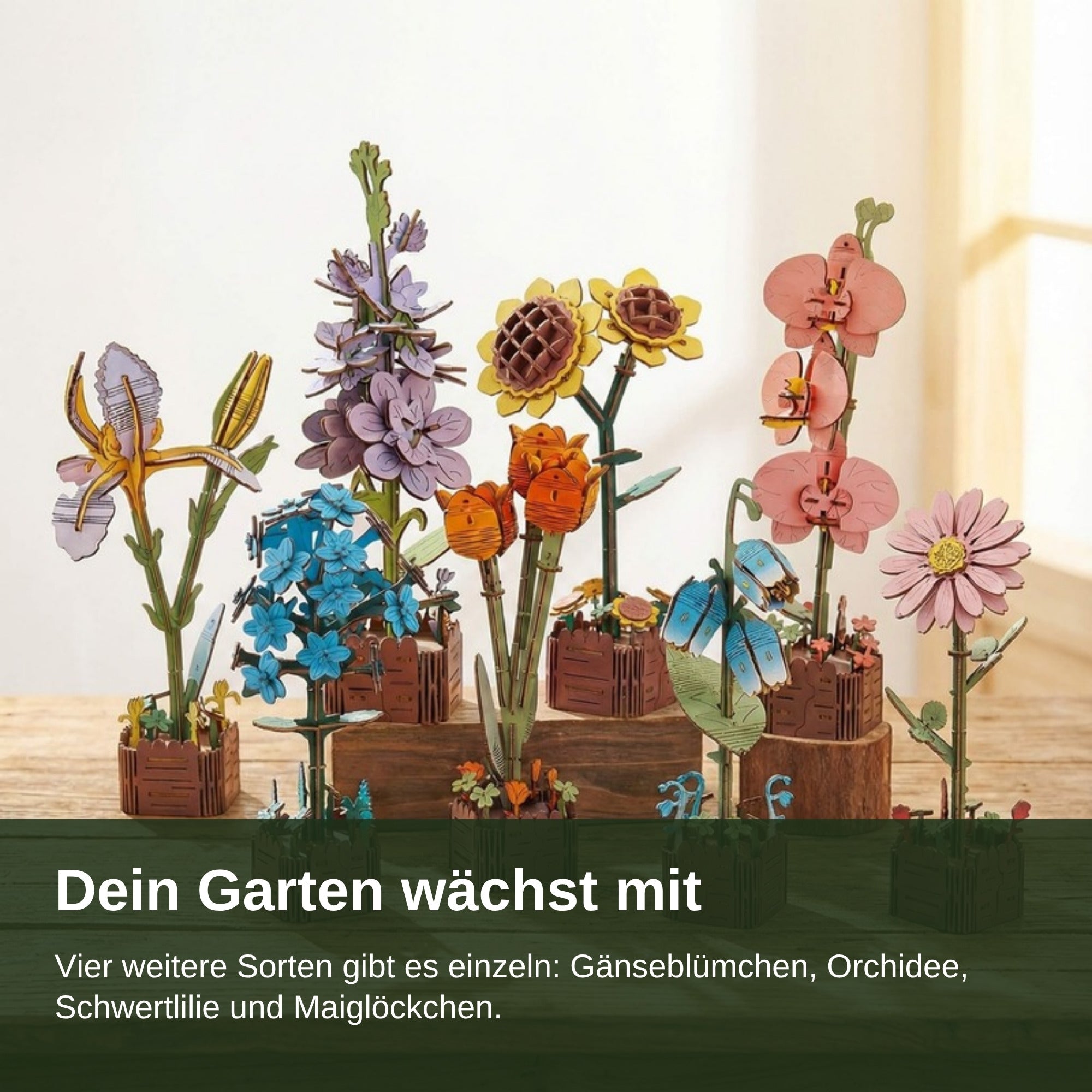 Dein Garten wächst mit: vier weitere Sorten einzeln erhältlich