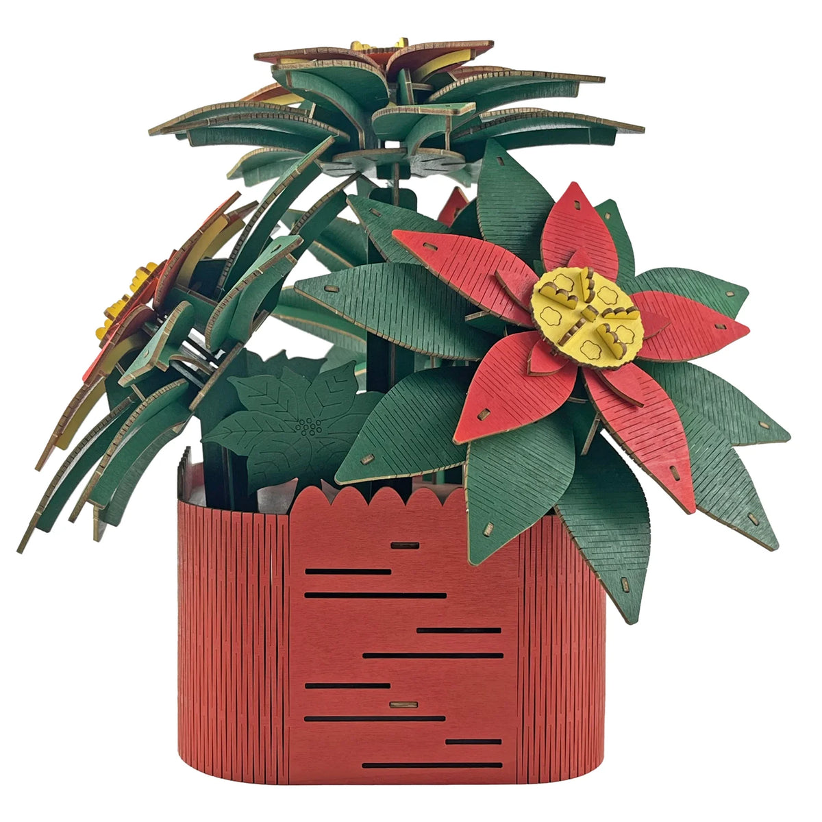 Weihnachtsstern