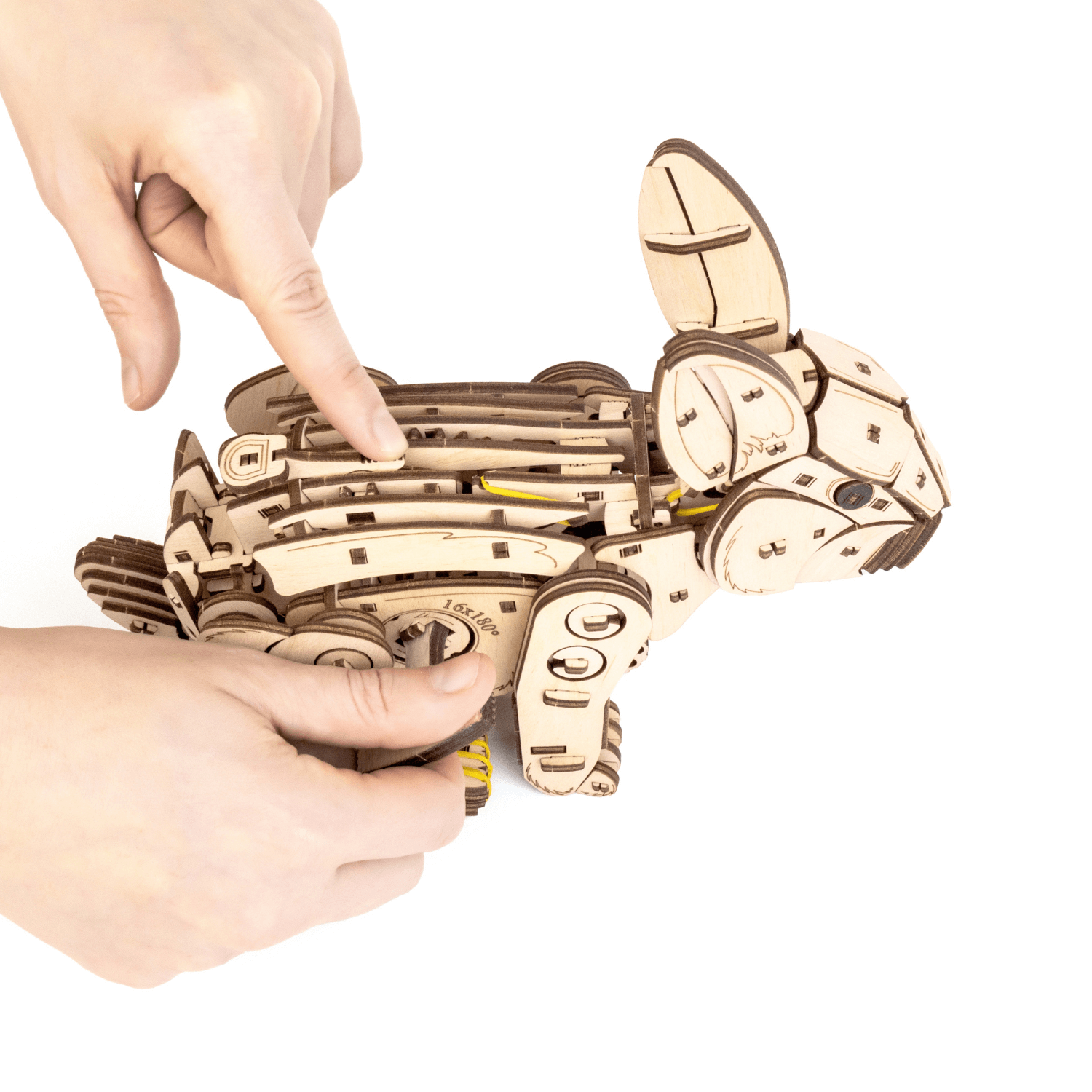 Mechanisch konijn Mechanische houten puzzel Eco-Wood-Art