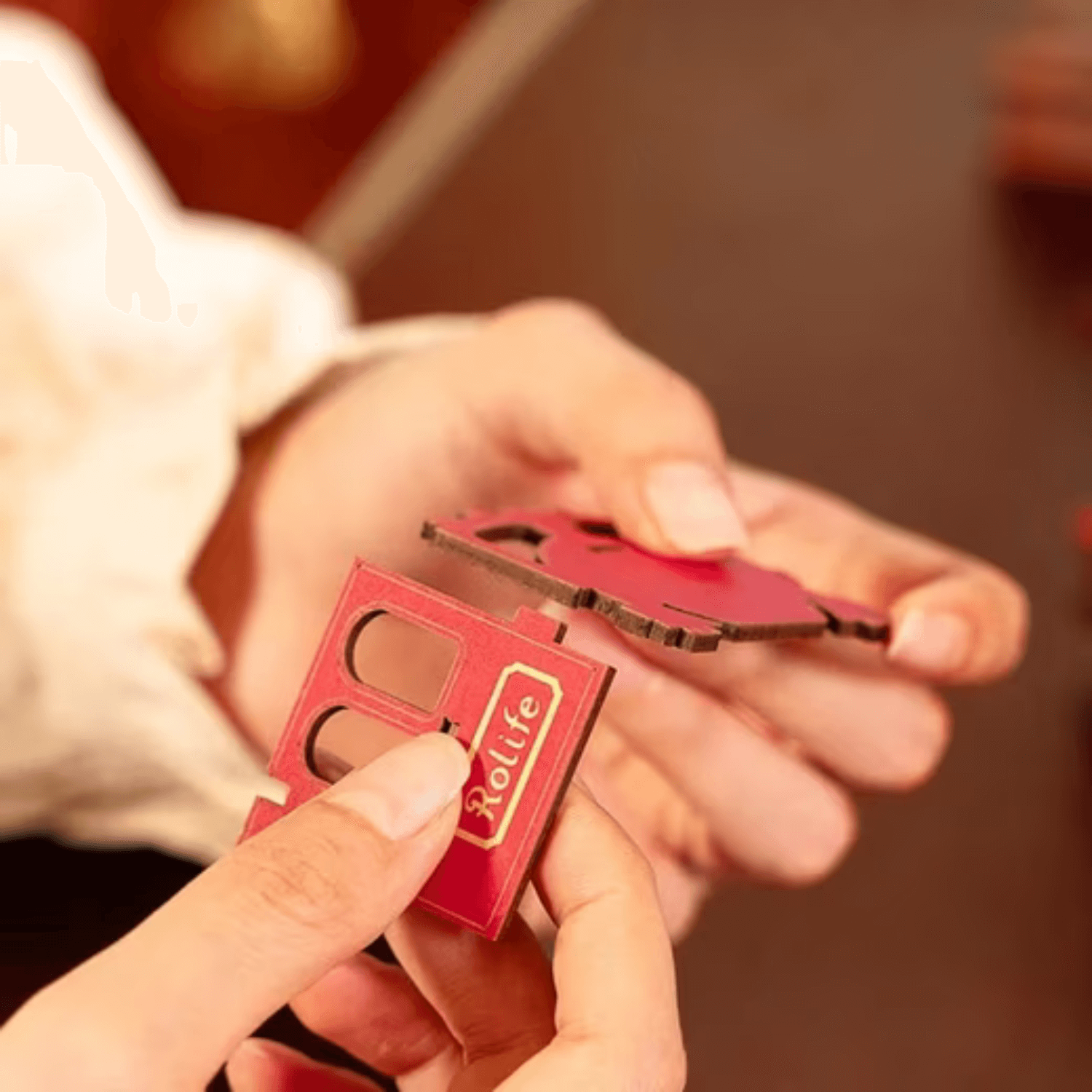 Century Train | Book Nook