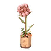 Pinke Rose
