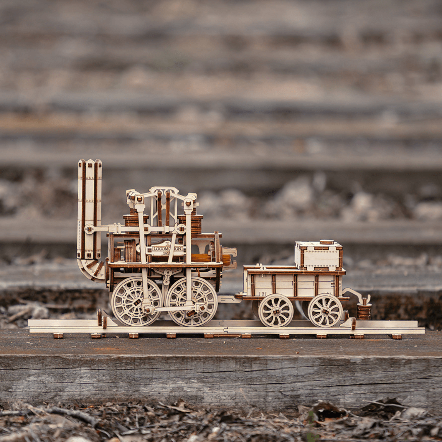 Locomotion #1 Mechanisches Holzpuzzle Eco-Wood-Art