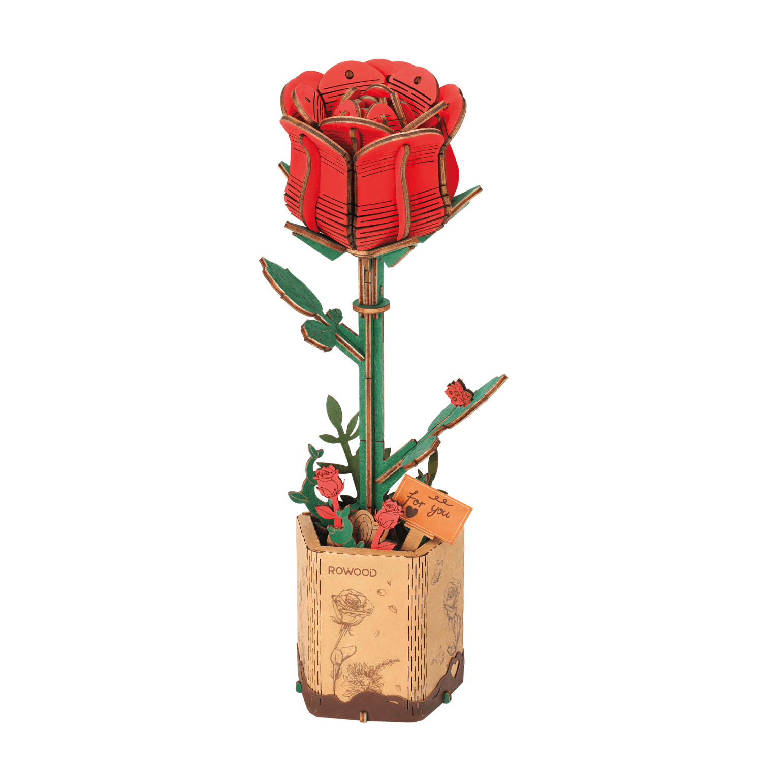 Ewiger Frühling | Blumen die immer blühen 3D Puzzle Robotime Elegante Rose