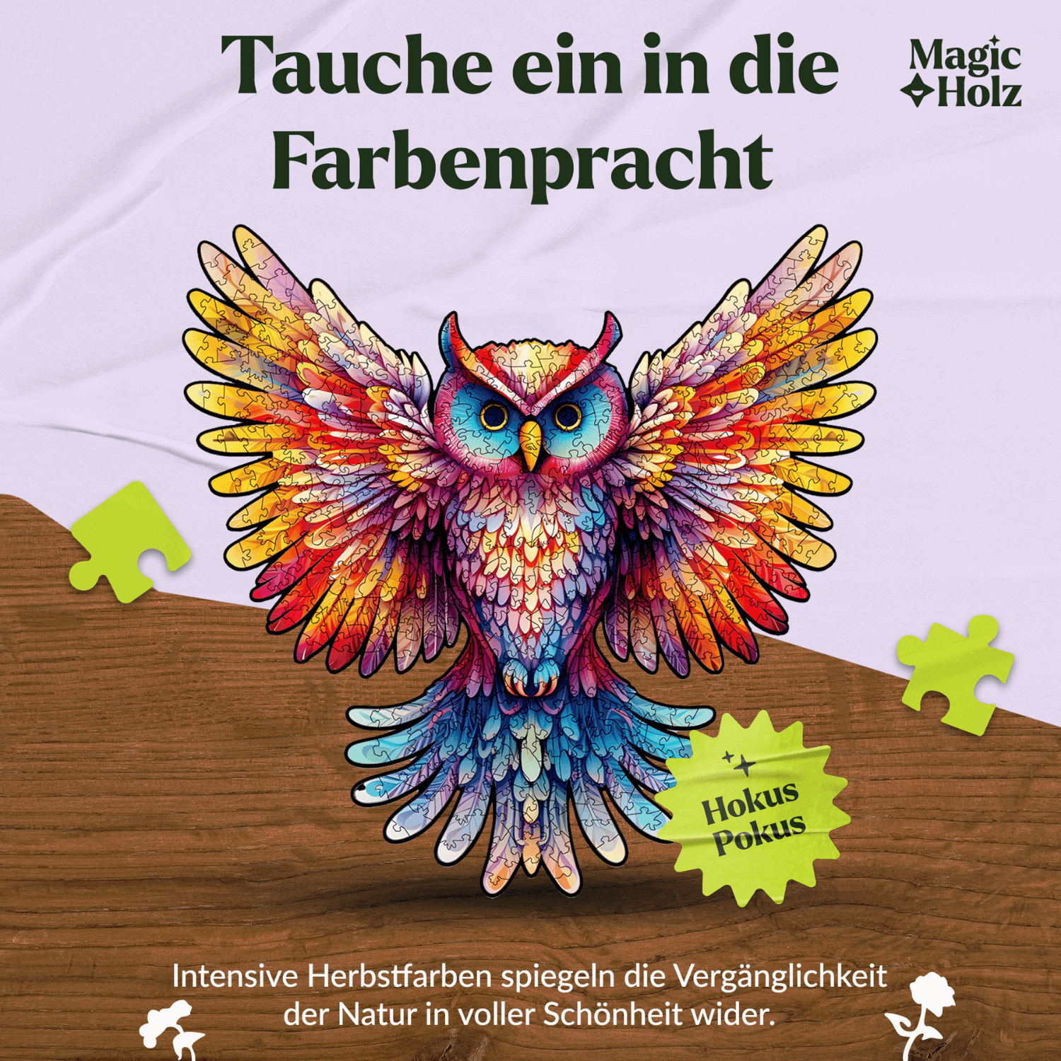 Rainbow feather | owl wooden puzzle MagicHolz