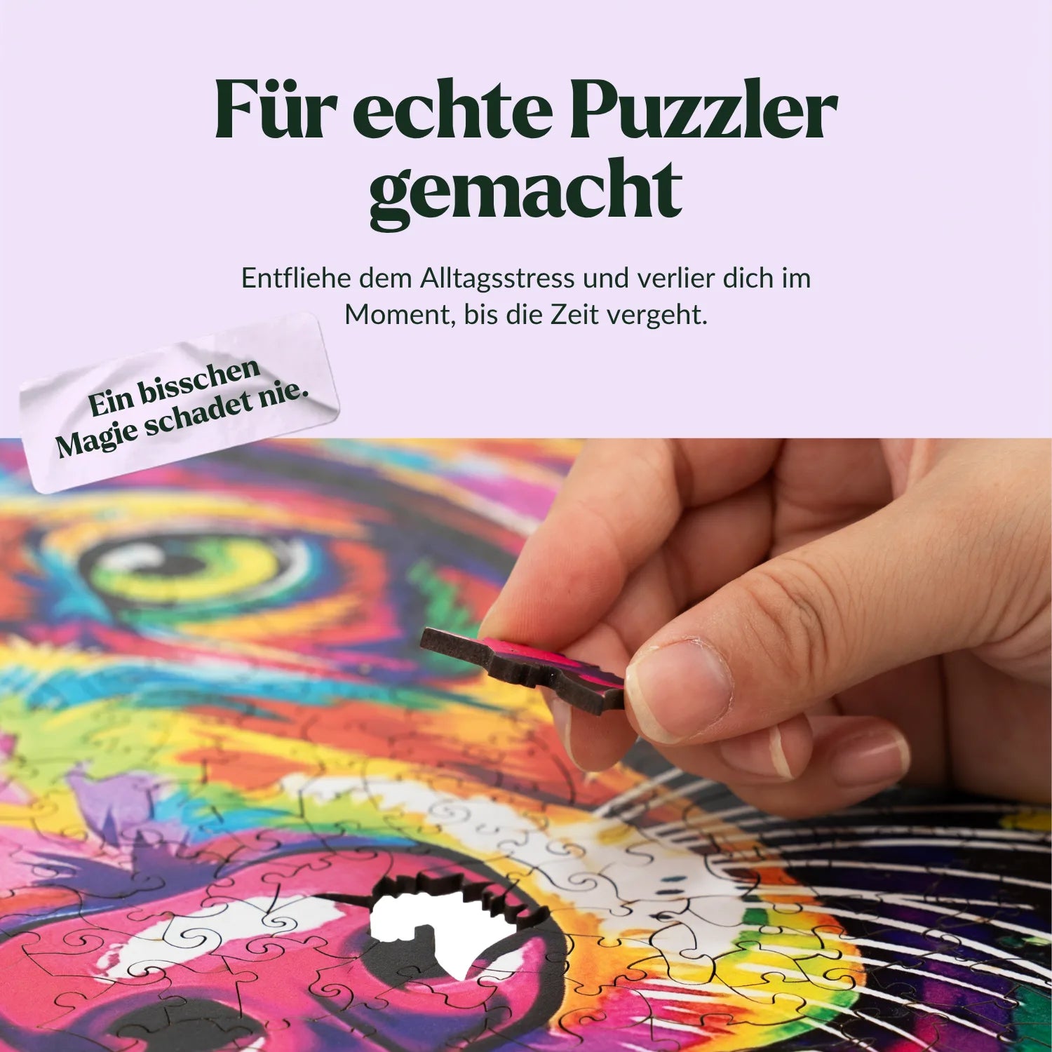Colorful Dachshund Wooden Puzzle (2D) MagicHolz