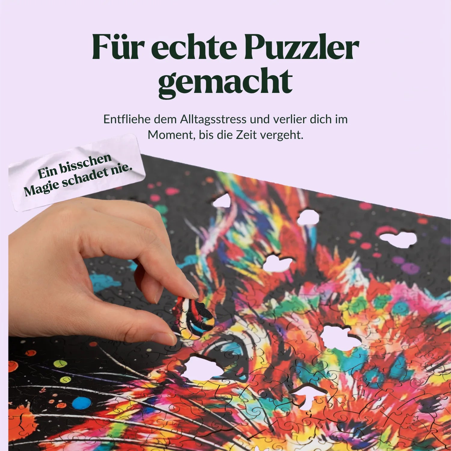 Colorful Squirrel Wooden Puzzle (2D) MagicHolz