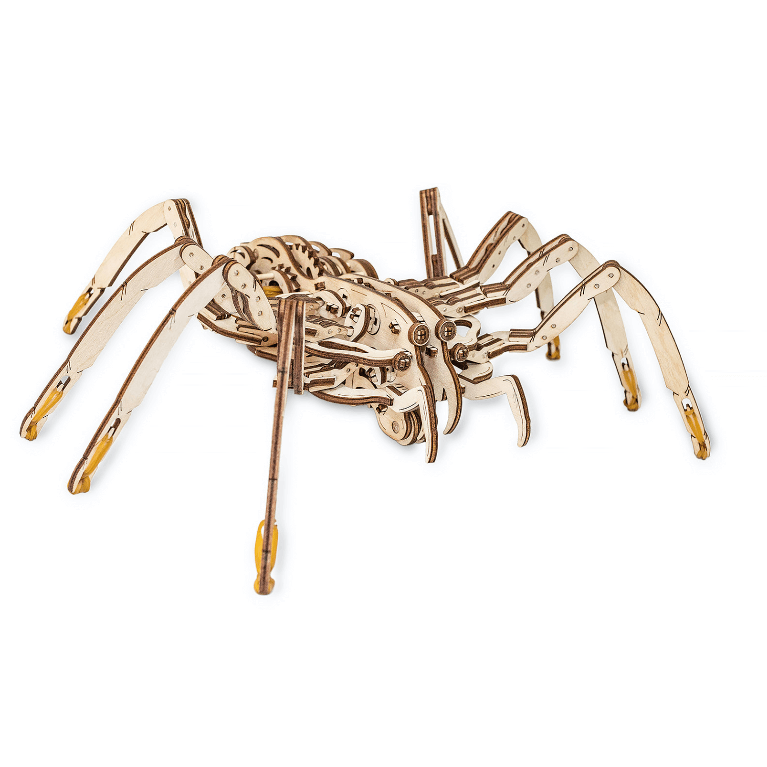 araignée | Puzzle mécanique en bois Eco-Wood-Art