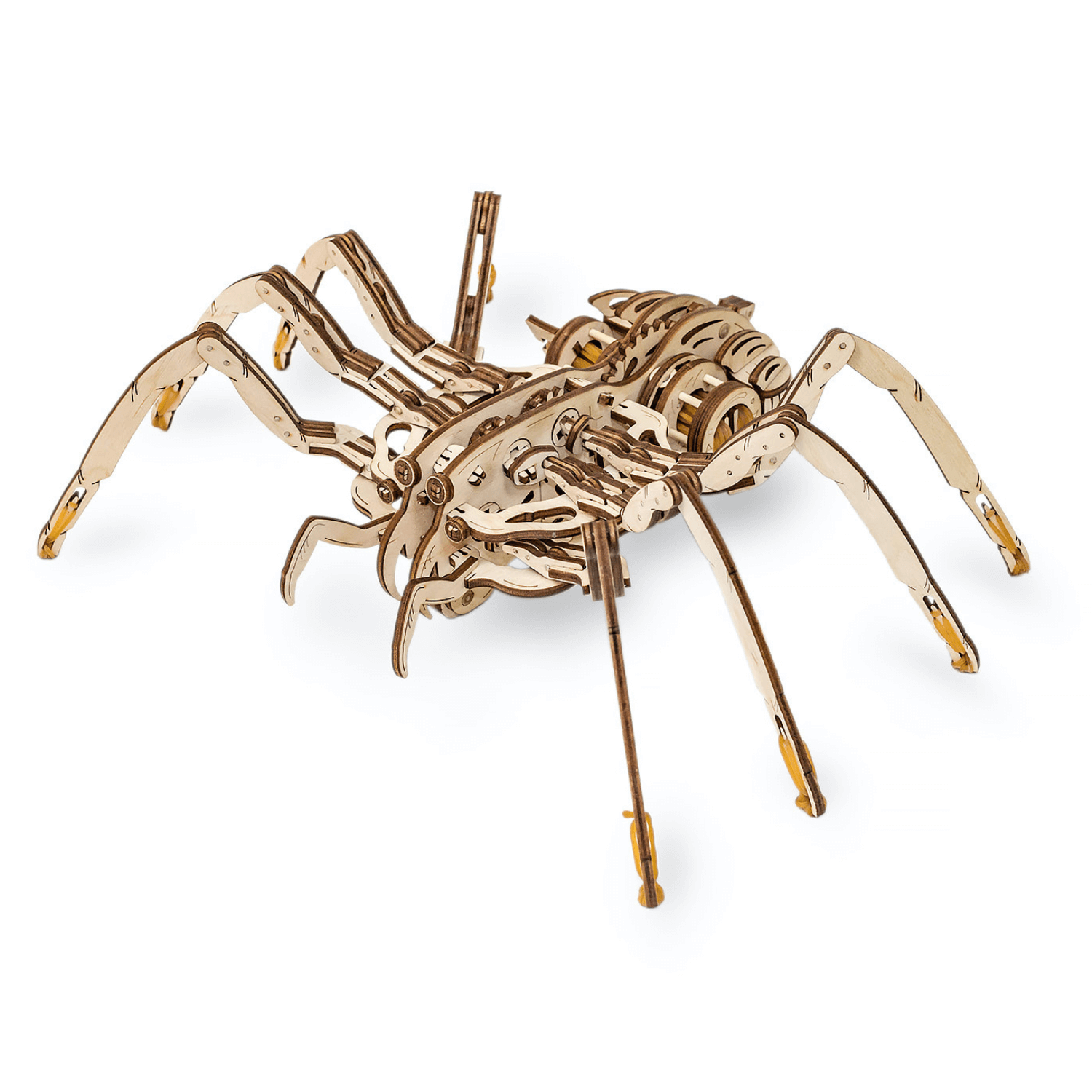 araignée | Puzzle mécanique en bois Eco-Wood-Art
