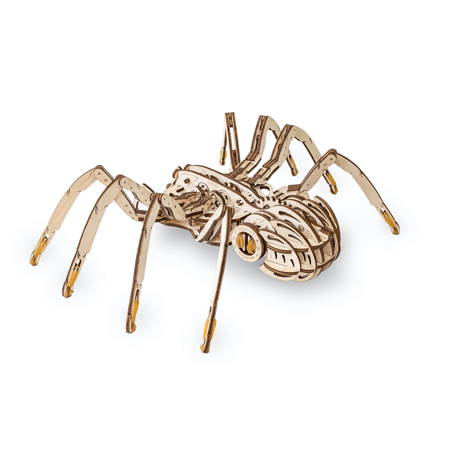 araignée | Puzzle mécanique en bois Eco-Wood-Art