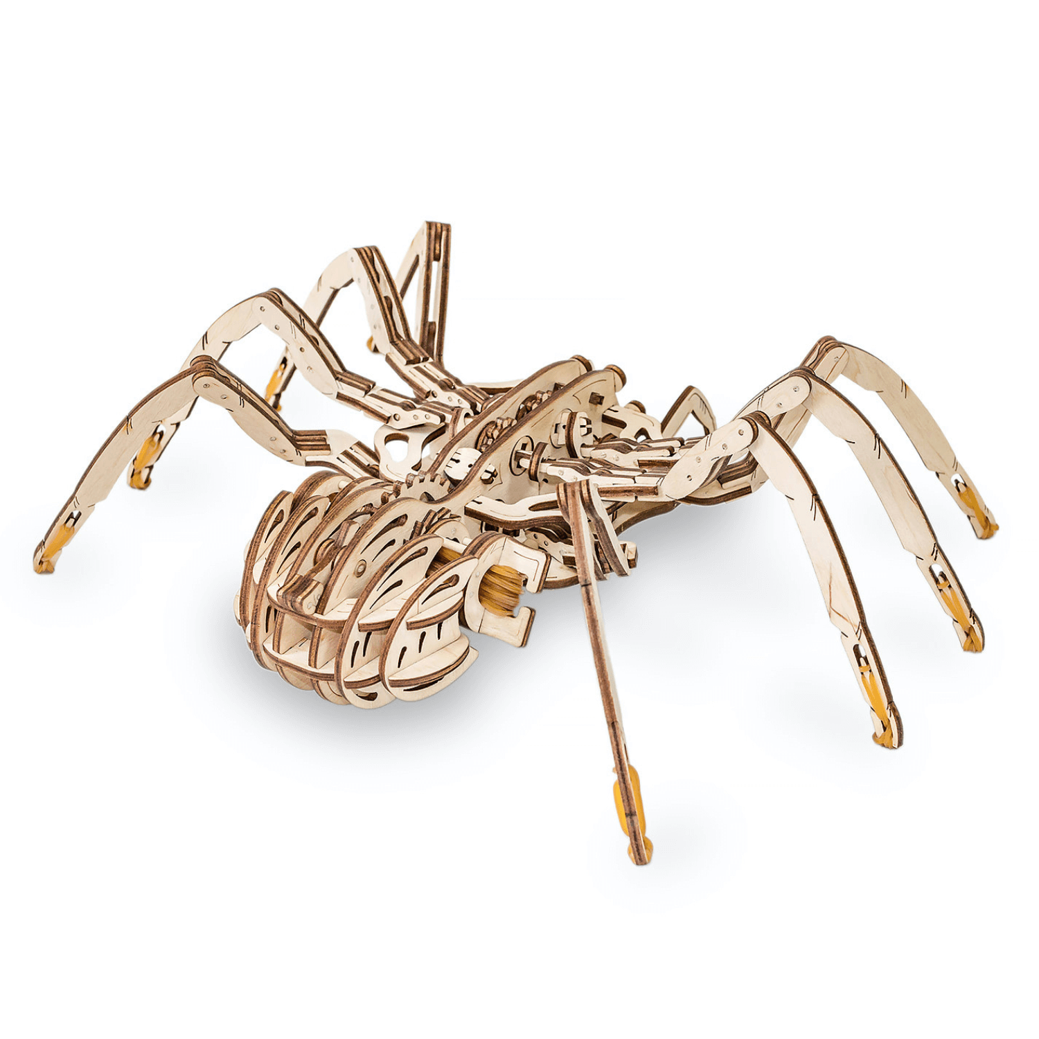 araignée | Puzzle mécanique en bois Eco-Wood-Art
