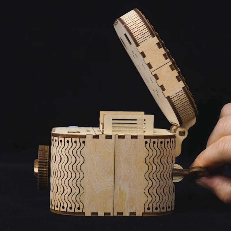 Treasure Chest 3D Puzzle Wood-Mechanical Wooden Puzzle-Robotime--