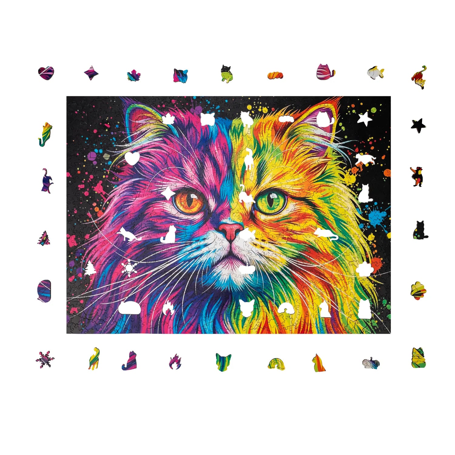 Colorful Persian Cat