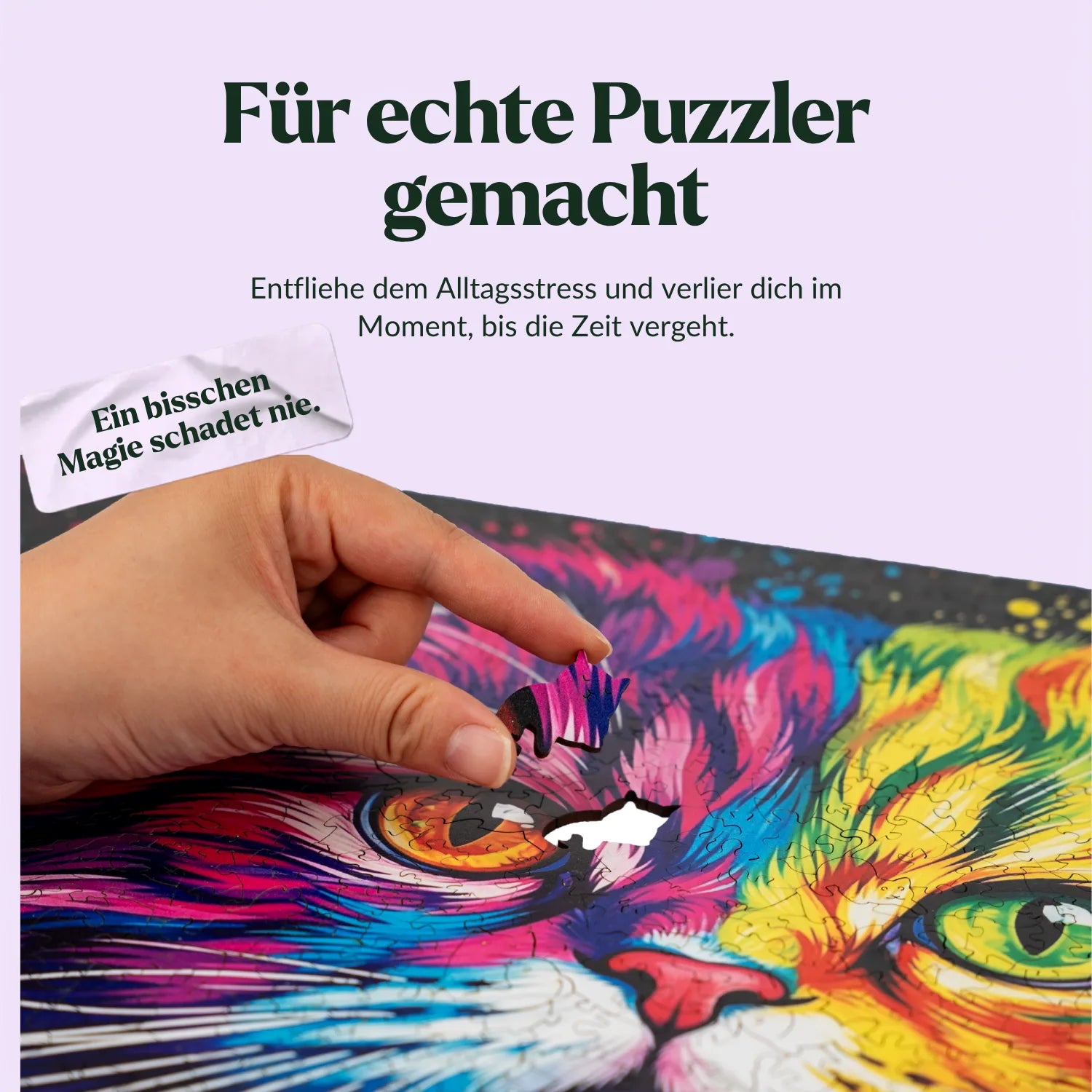 Kleurrijke Perzische kat houten puzzel (2D) MagicHolz