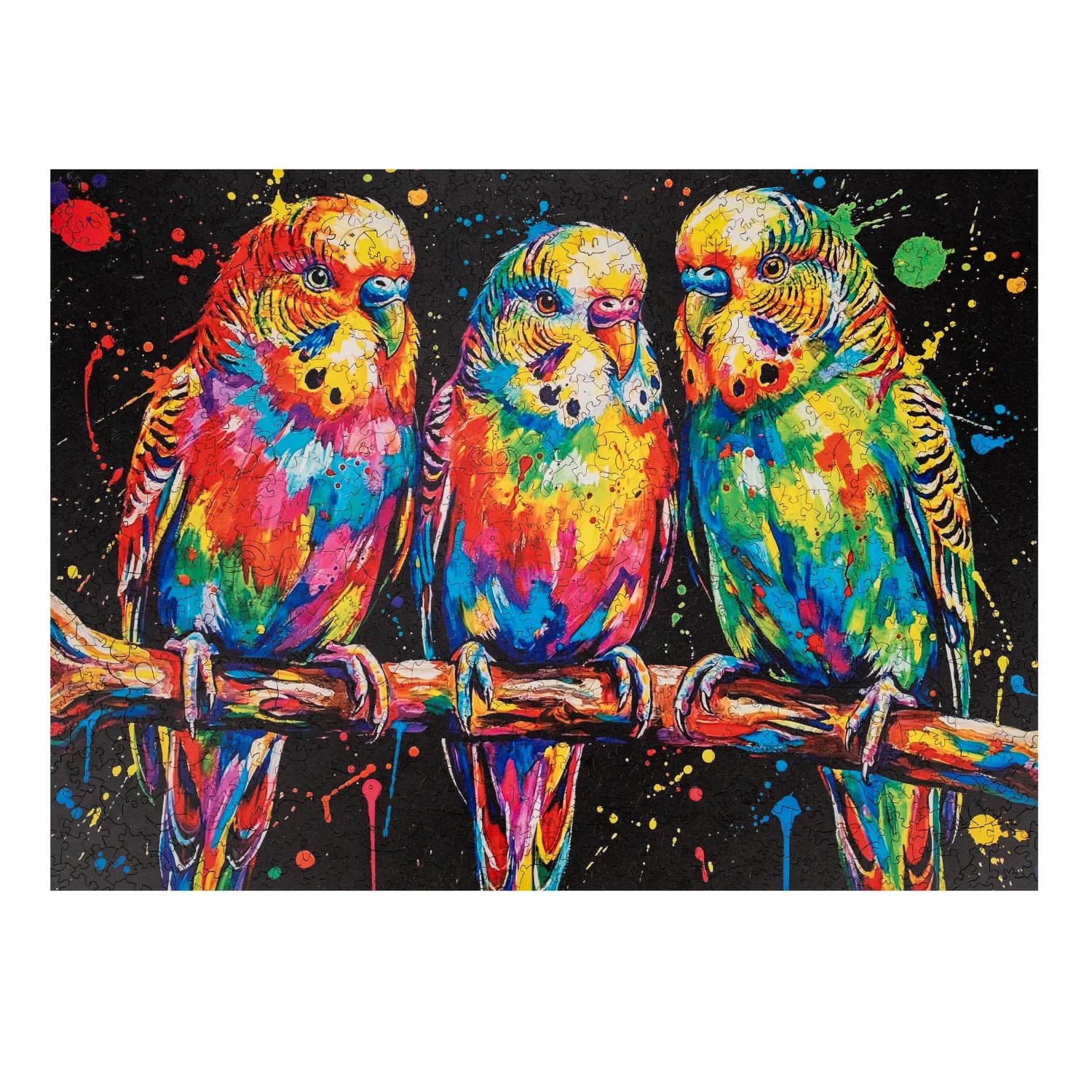 Colorful Budgies Wooden Puzzle (2D) MagicHolz