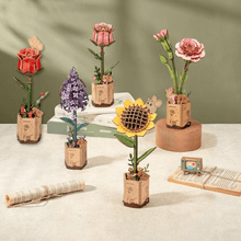 Ewiger Frühling | Blumen die immer blühen
