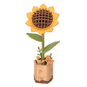 Strahlende Sonnenblume