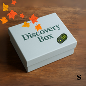 Discovery Box