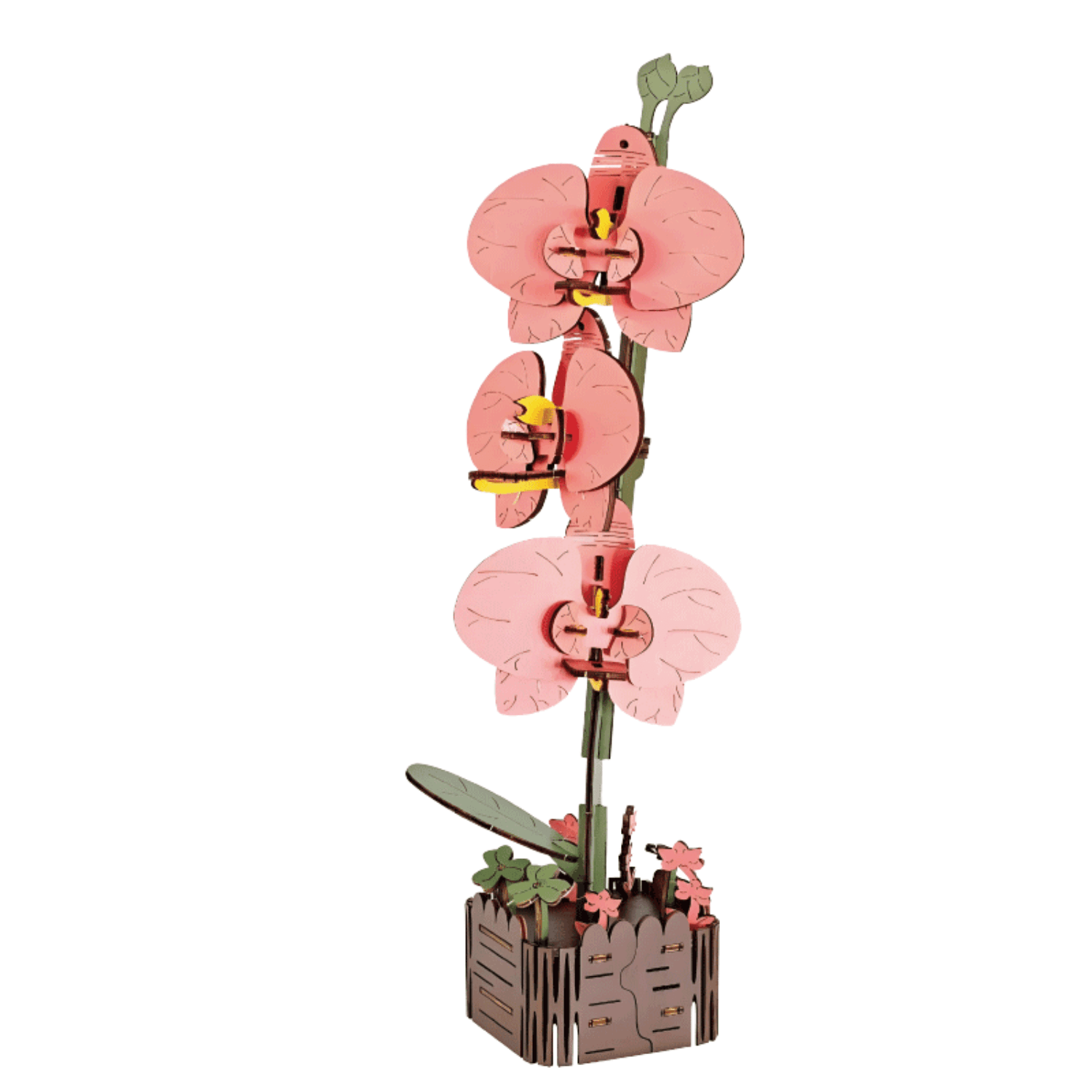 MaHo Flowers | Craft your own blossoms 3D Puzzle MagicHolz Orchid