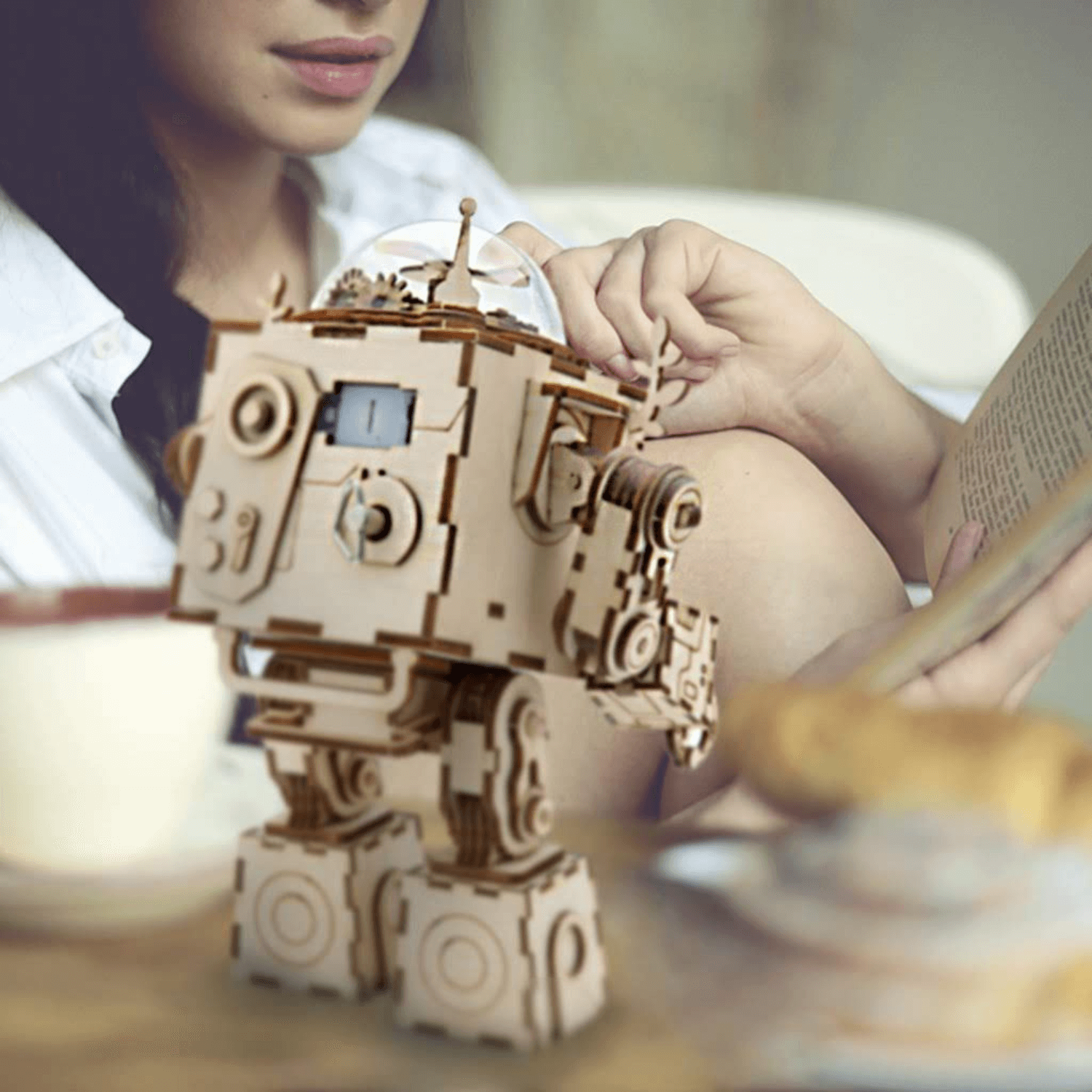 Orpheus | music box-mechanical wooden puzzle-Robotime--