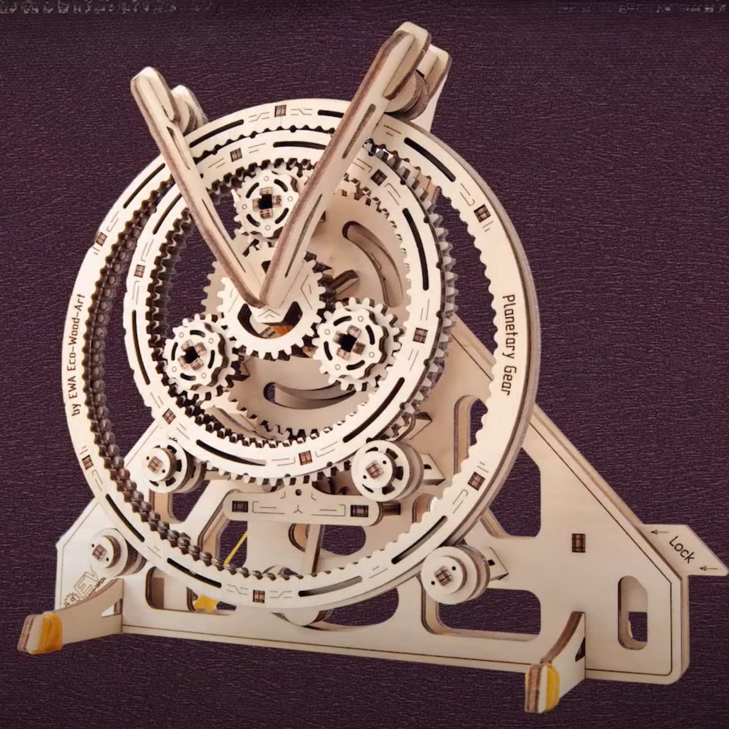 Planetary Gear Mechanic Wood Puzzle Eco Wood Art--