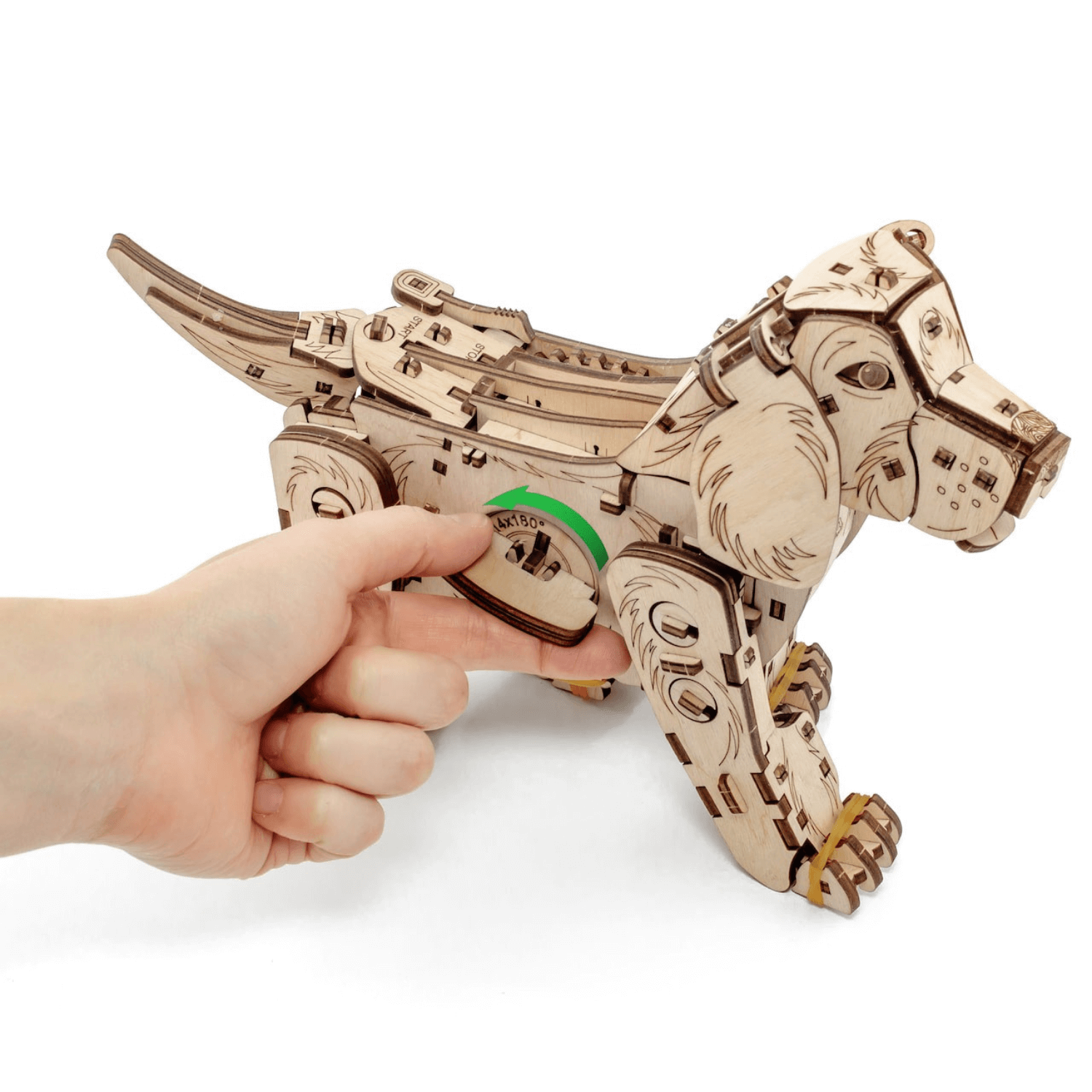 Mechanischer Hund | Puppy-Mechanisches Holzpuzzle-Eco-Wood-Art--