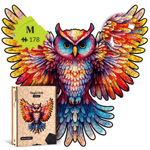 Rainbow feather | Owl