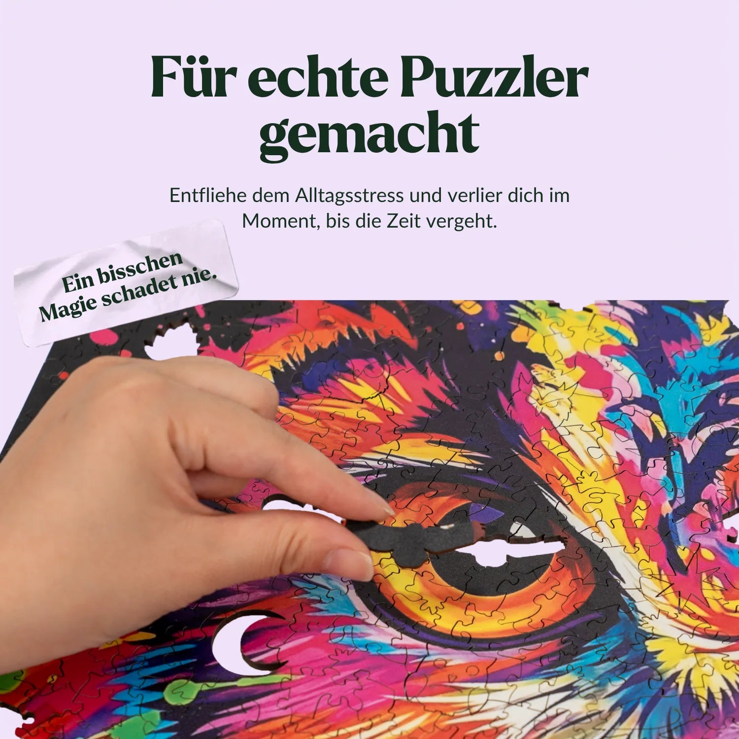 Colorful Owl Wooden Puzzle (2D) MagicHolz
