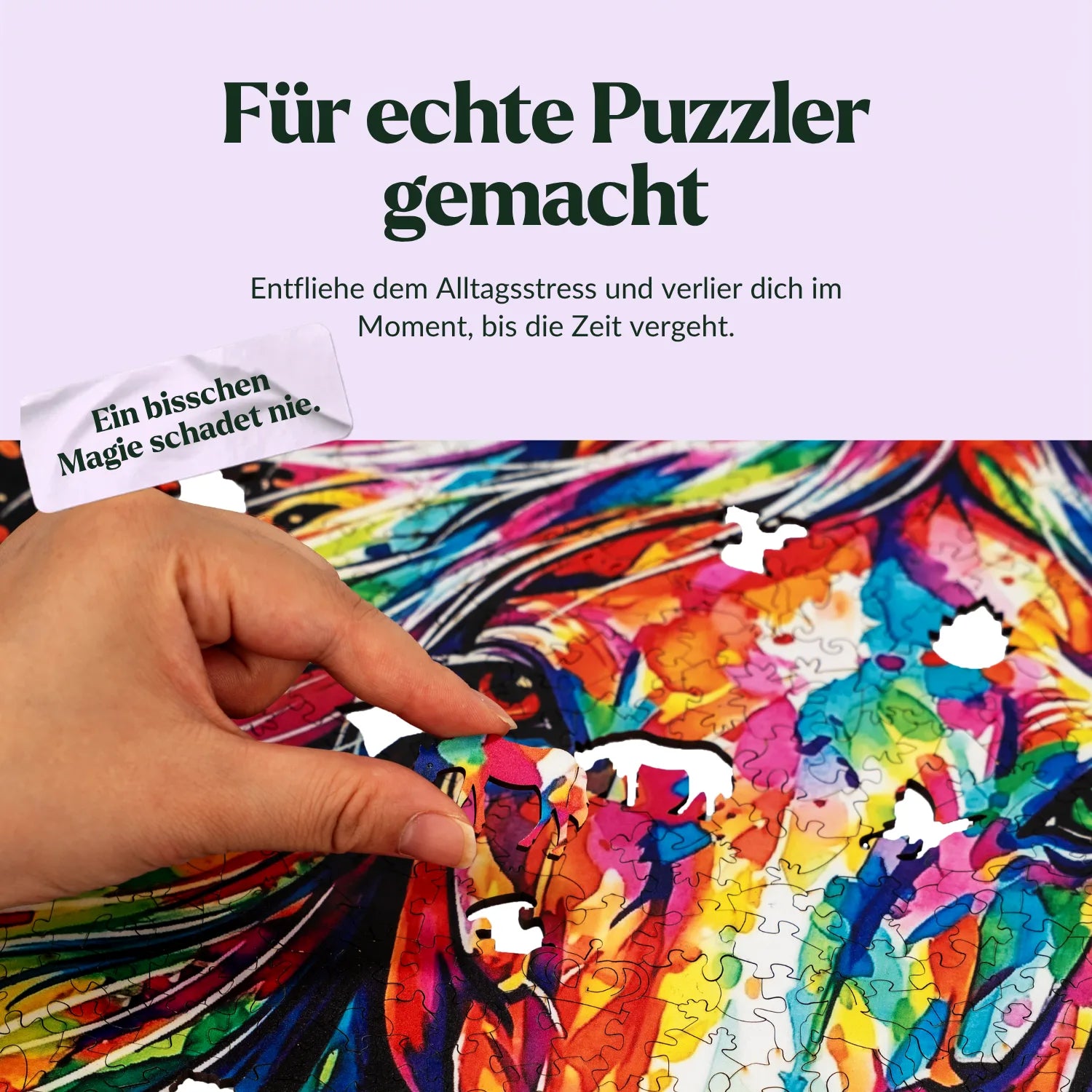 Colorful Horse Wooden Puzzle (2D) MagicHolz