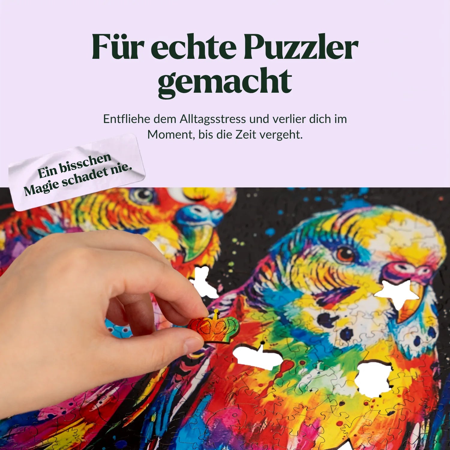 Colorful Budgies Wooden Puzzle (2D) MagicHolz