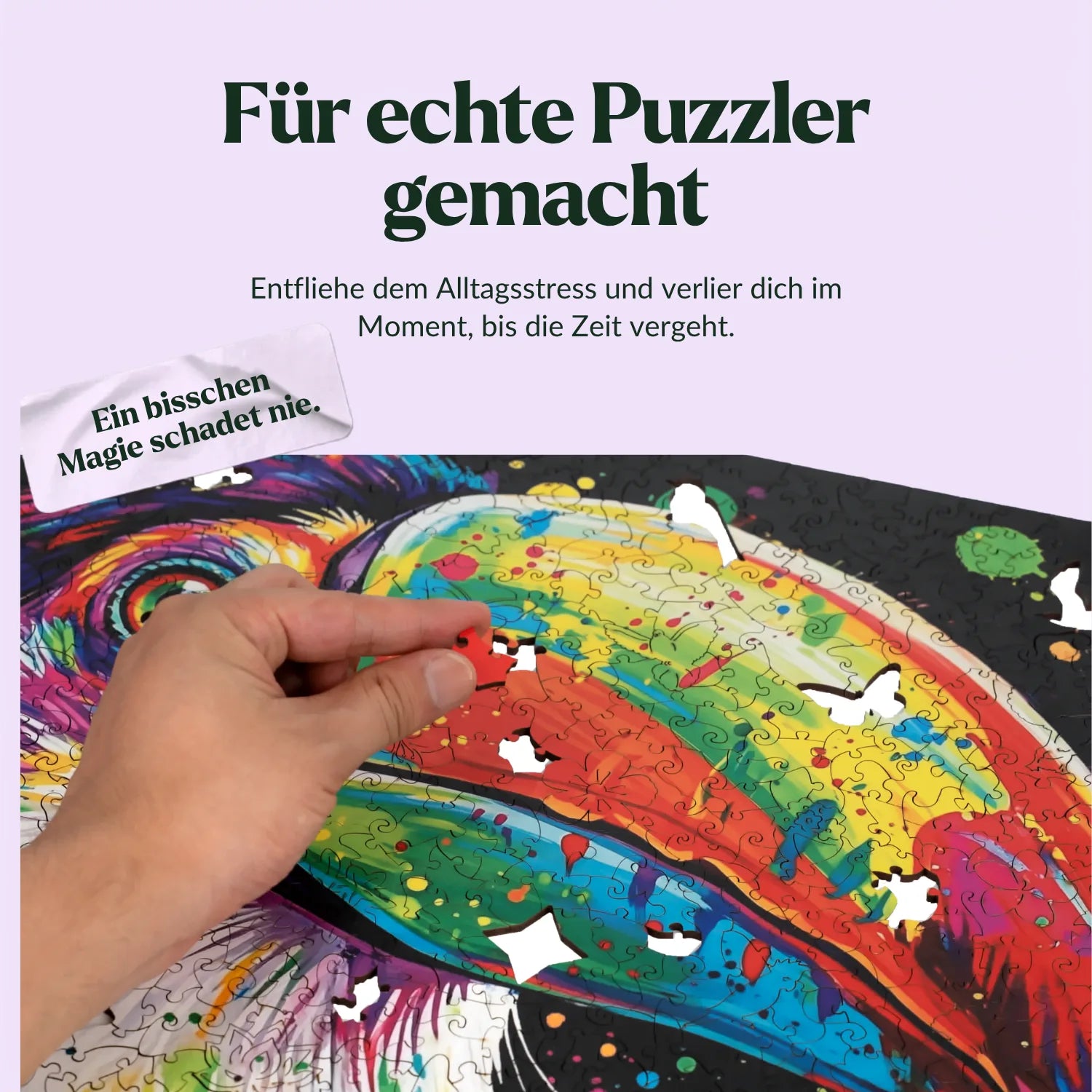 Bunter Tukan Holzpuzzle (2D) MagicHolz