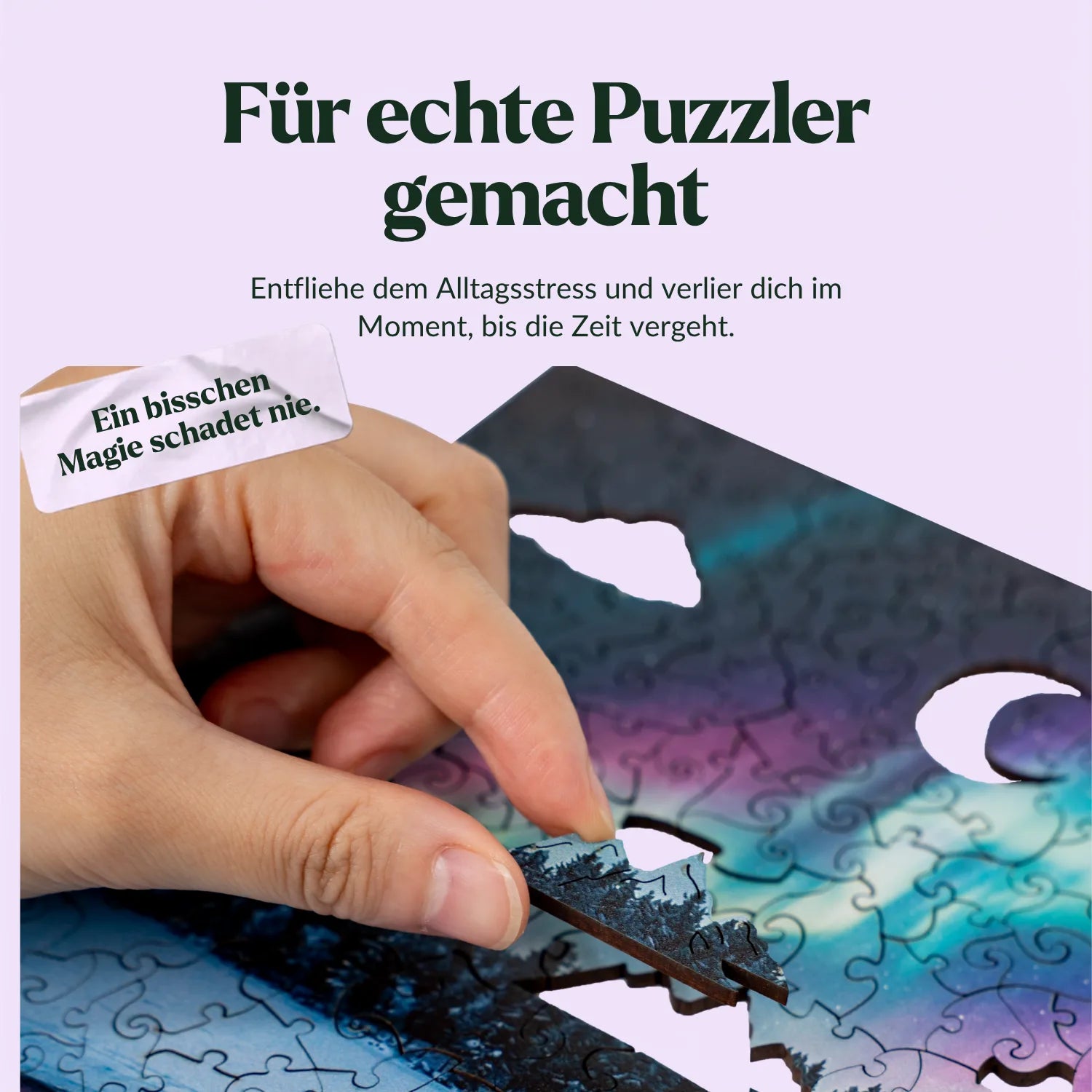 Winter Landscape Wooden Puzzle (2D) MagicHolz