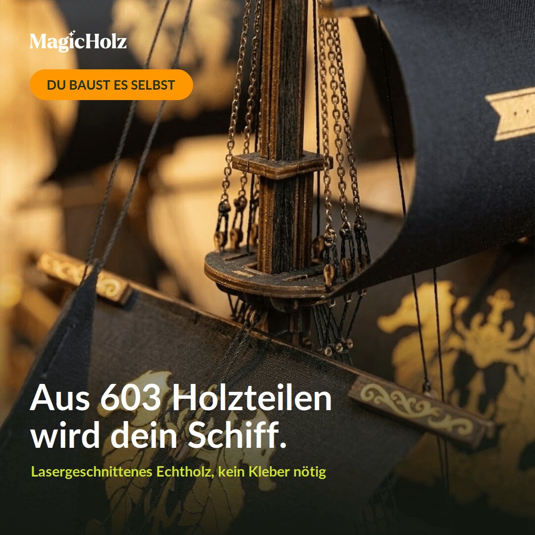 Piratenboot "Black Pearl" Mechanische bouwdoos van Robotime