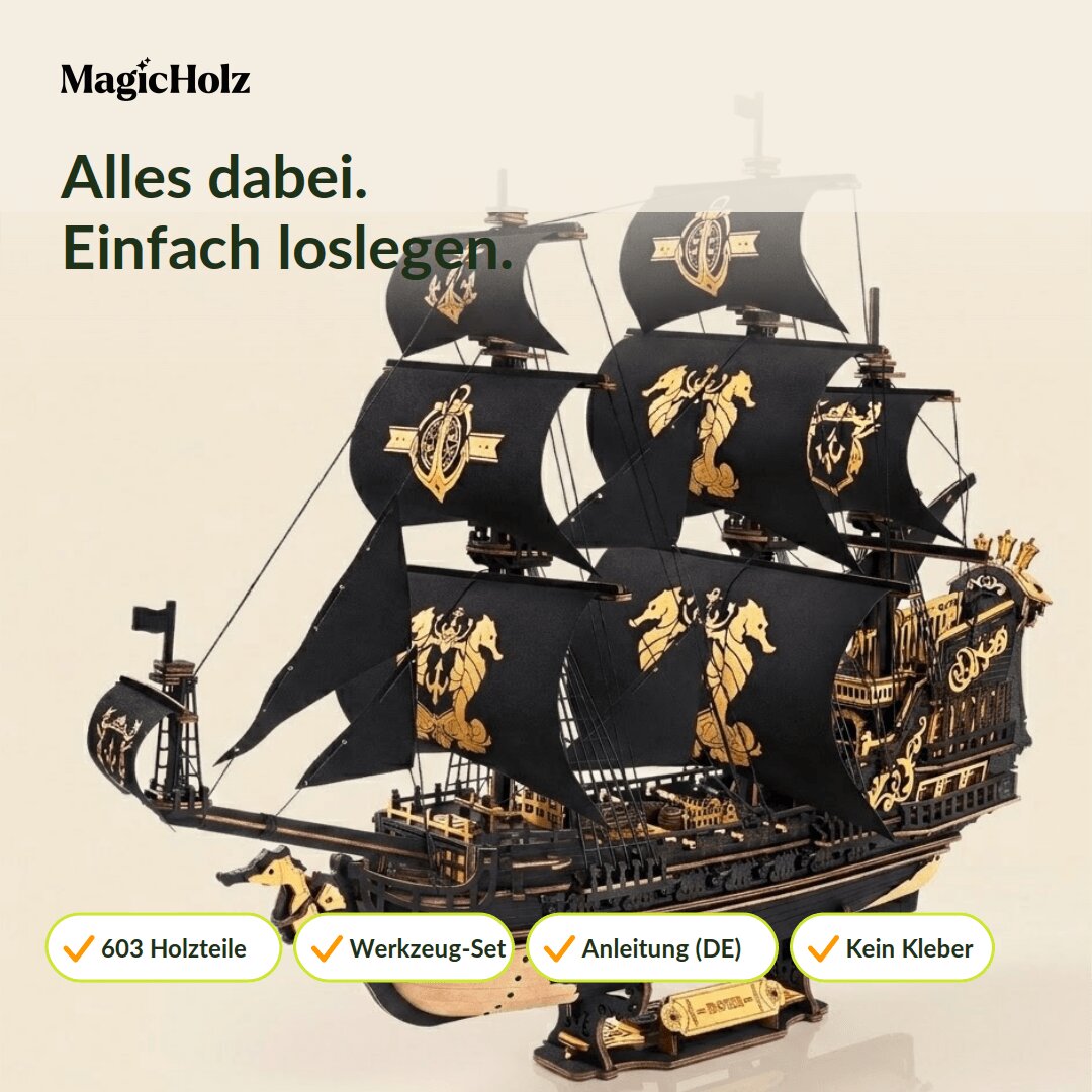 Piratenboot "Black Pearl" Mechanische bouwdoos van Robotime