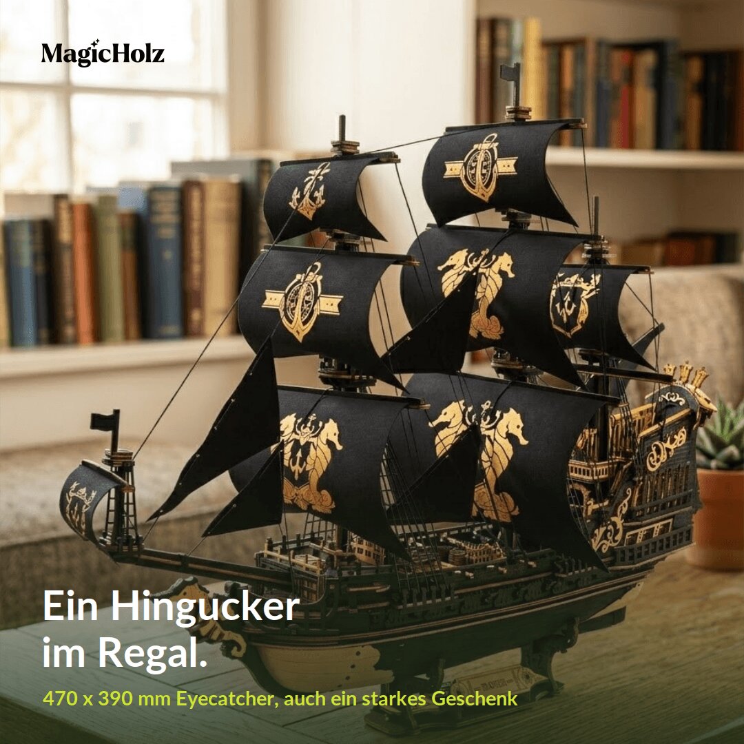 Piratenboot "Black Pearl" Mechanische bouwdoos van Robotime
