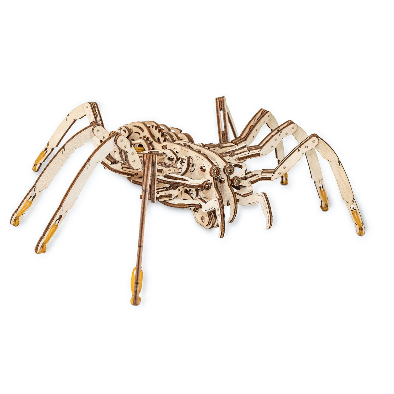 Spinne | Spider-Mechanisches Holzpuzzle-Eco-Wood-Art--