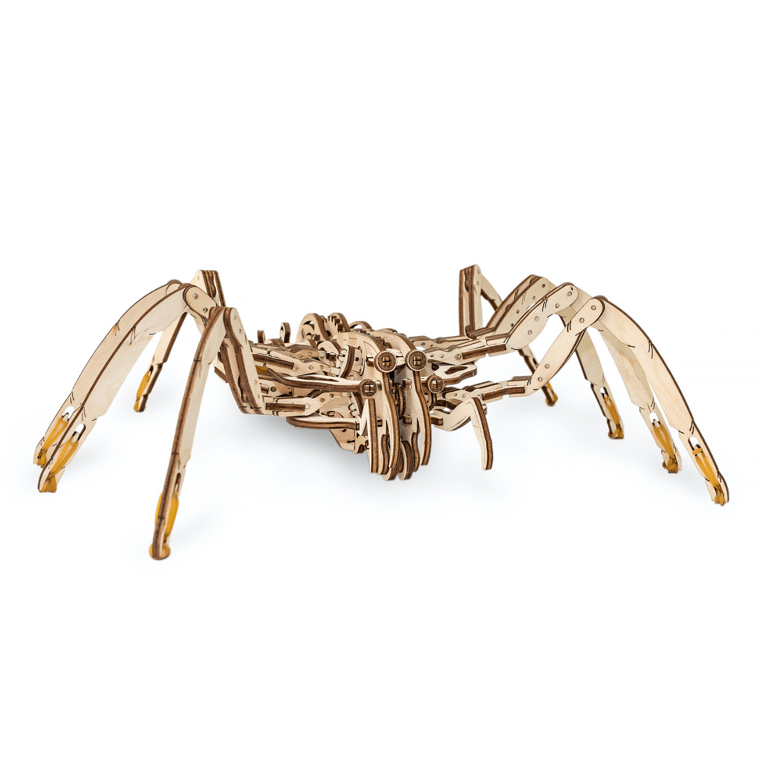 Spinne | Spider-Mechanisches Holzpuzzle-Eco-Wood-Art--