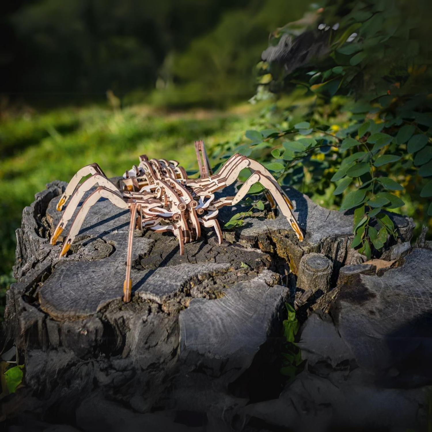 Spider | Mechanical Wooden Puzzle Eco Wood Art--