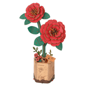 Rote Kamelie