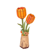 Tulpe Orange