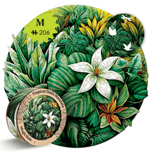 Tropical Oasis | Mandala