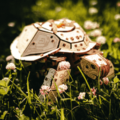 Mechanische Schildkröte | Turtle