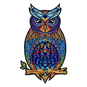 Wise owl