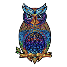 Wise owl