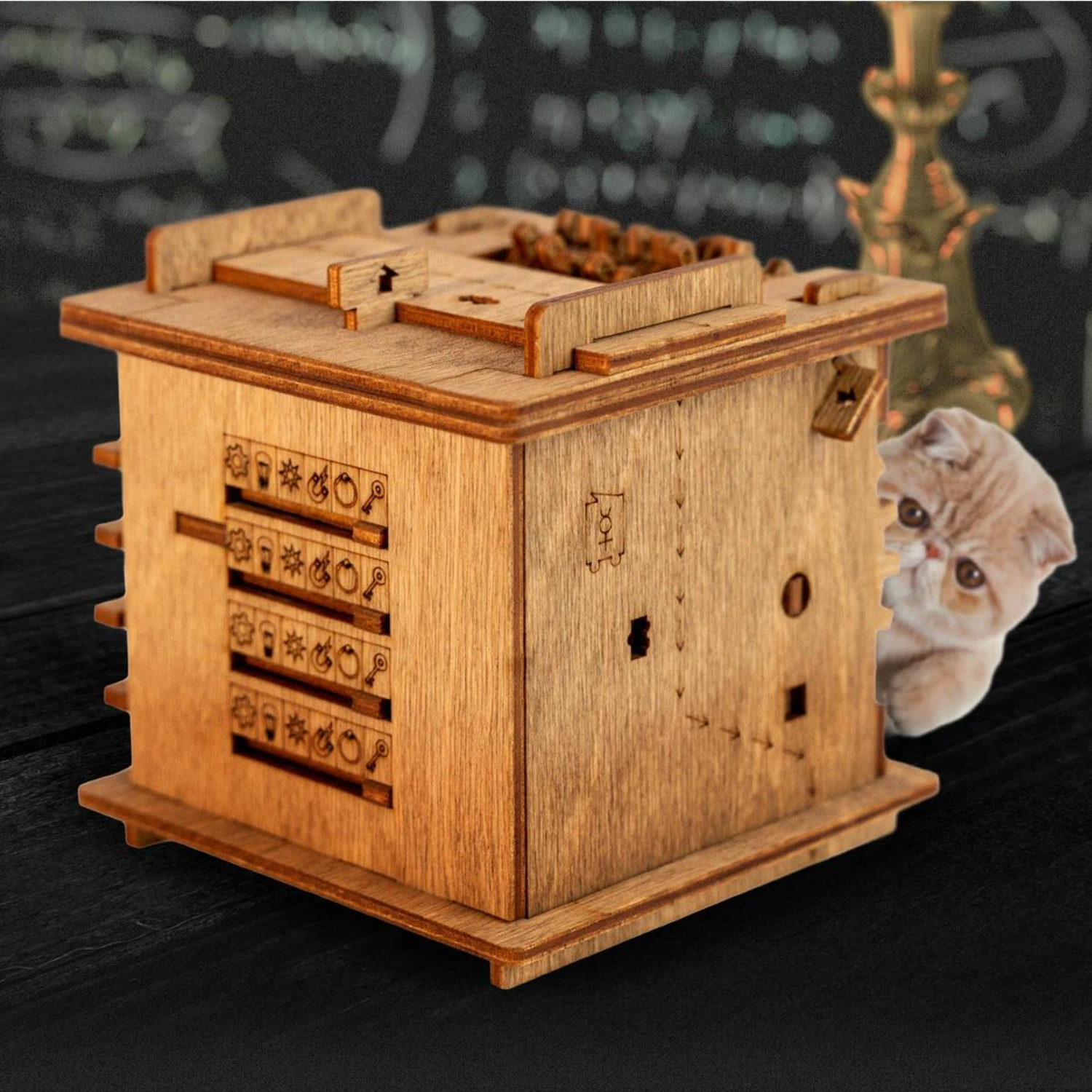 Cluebox "Le chat de Schrödinger"-Salle d'évasion Jeu-iDventure-schroedingers-katze-0785045811094