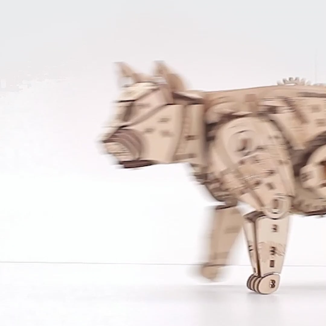 Mechanische katten – naturel of zwart; de naturelgekleurde houten kat loopt na het opwinden door het plaatje