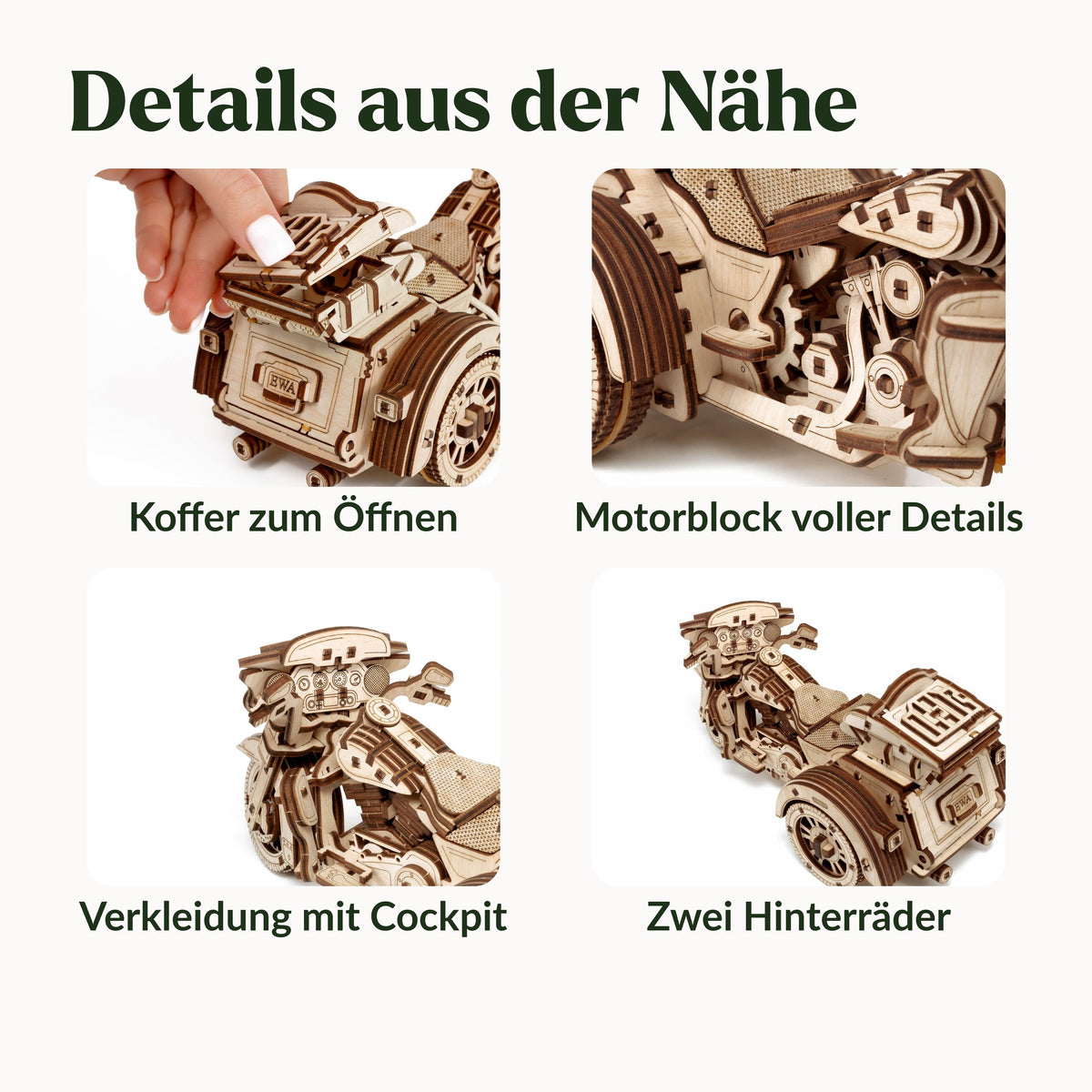 Details am Holz-Trike: Koffer zum Öffnen, Motorblock, Verkleidung mit Cockpit und zwei Hinterräder