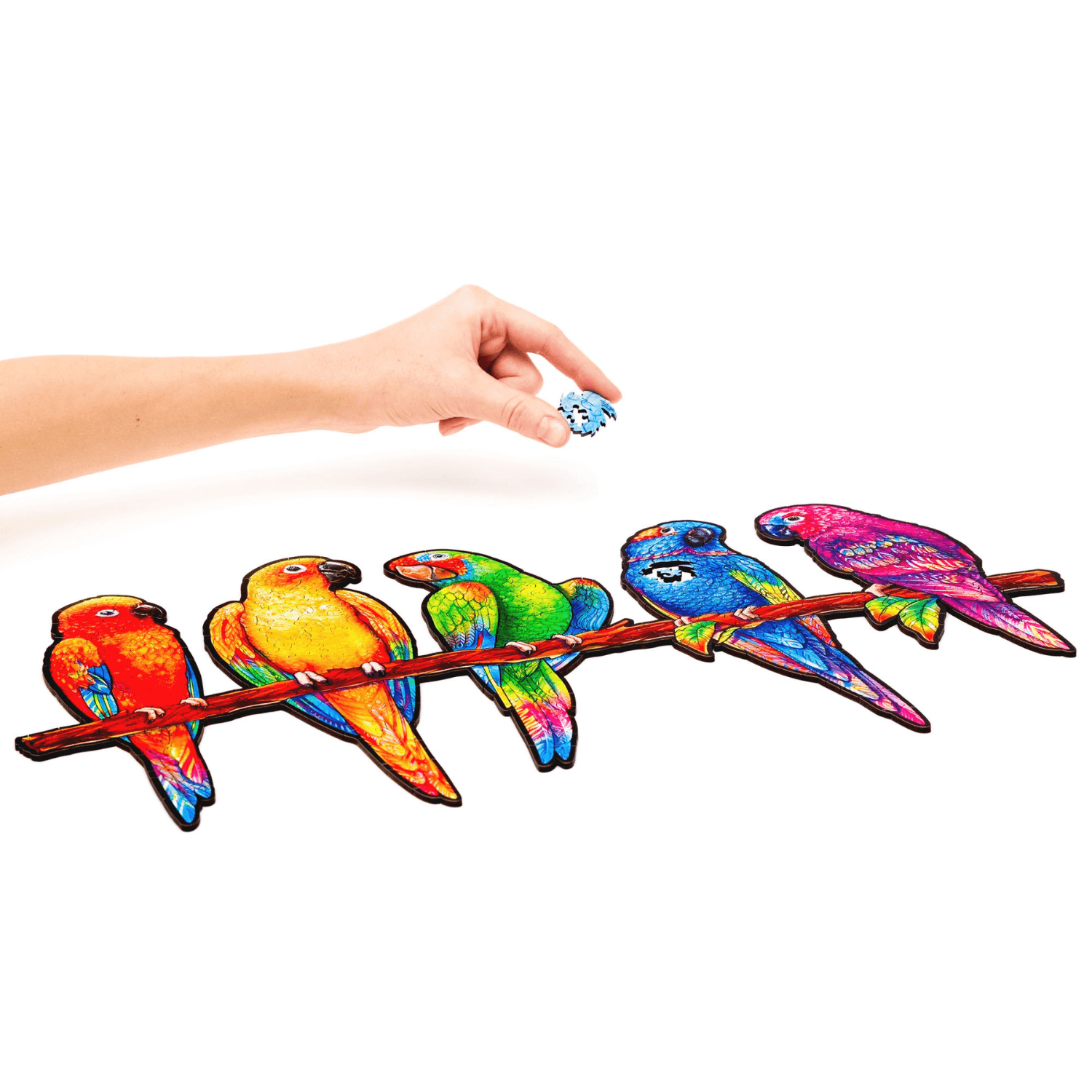 Playful parrots wooden puzzle Unidragon--