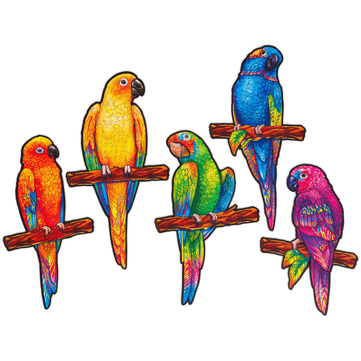 Playful parrots wooden puzzle Unidragon--