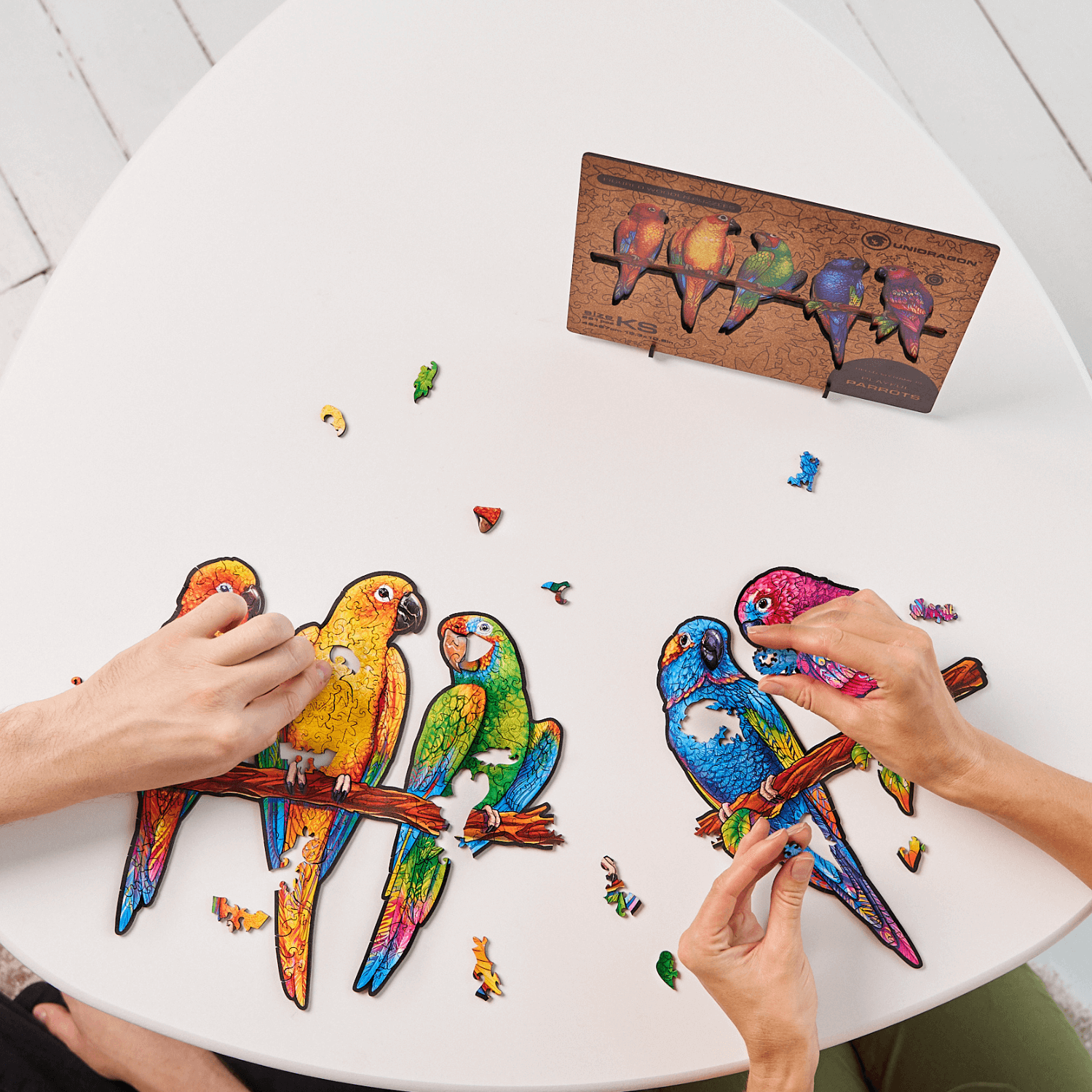 Playful parrots wooden puzzle Unidragon--